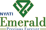 Nayati Emerald logo